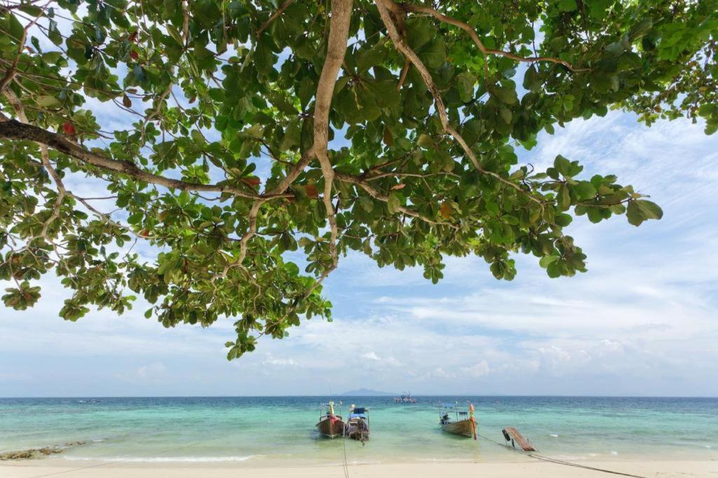 Oyo 1103 Pirates House Hotel Koh Phi Phi Ngoại thất bức ảnh
